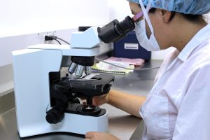 herney microscope 2352650 1920